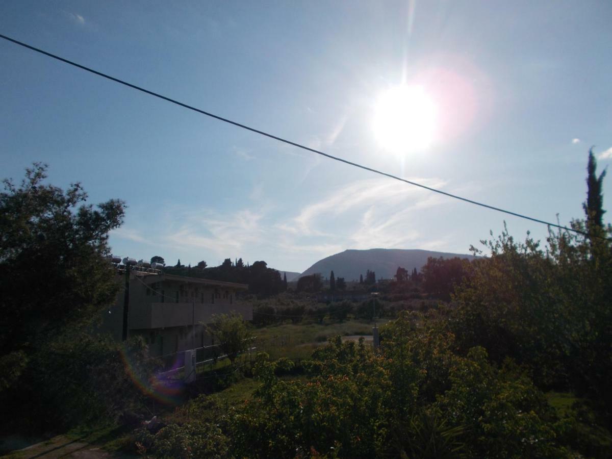 Summer Holidays In Laganas Apartments Esterno foto